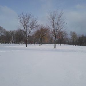 Meet your Posher, Sendy